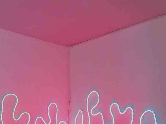 Aleja1214 webcam