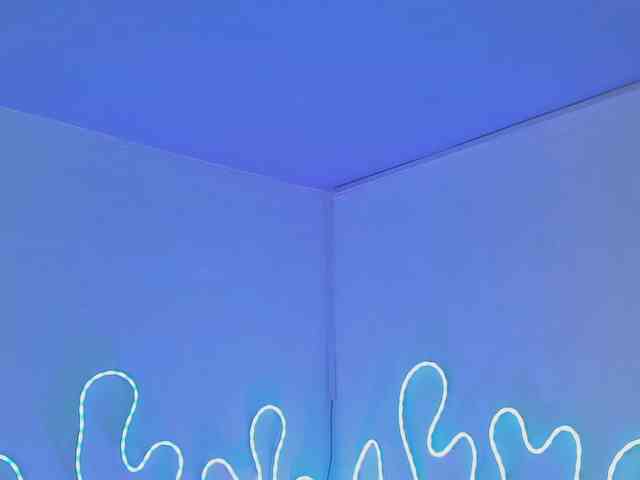 Aleja1214 webcam