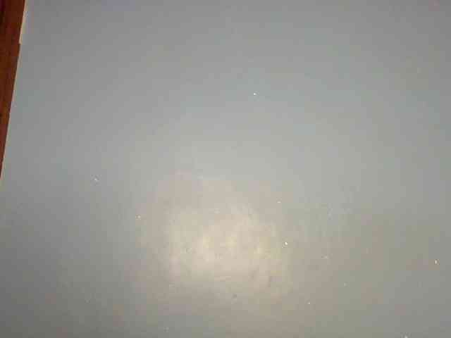 Cutevibe webcam
