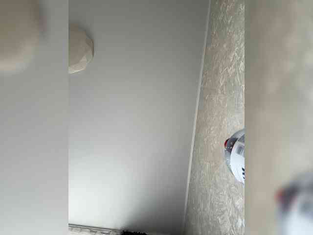 true_iove's live room