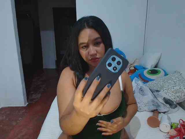 solvest webcam