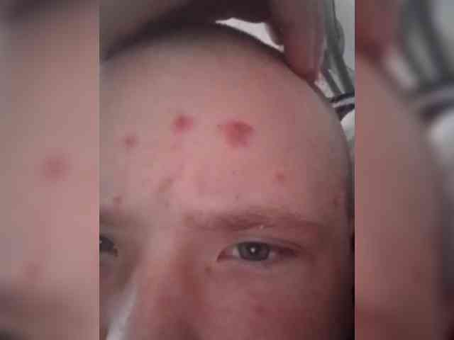 paulinioahulio