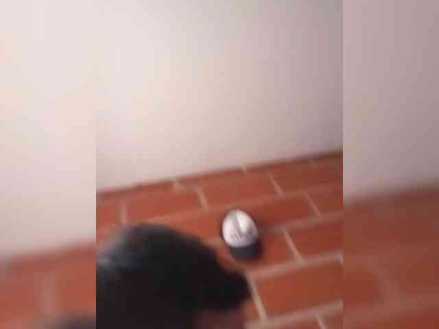Monosqui13 Monosqui13