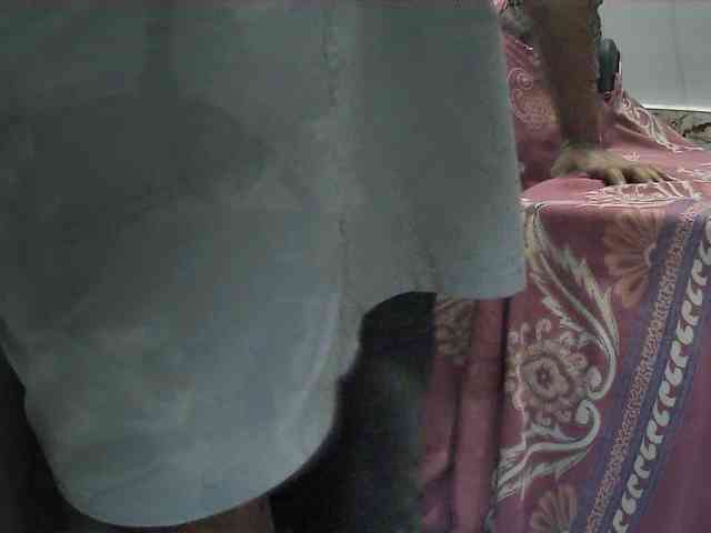 DesiCpl webcam
