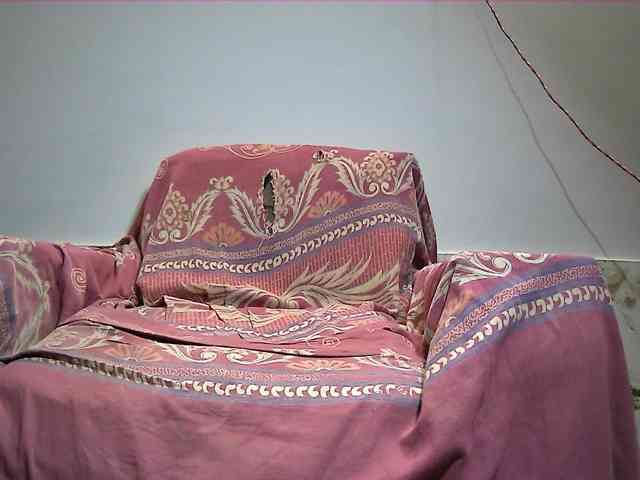 DesiCpl webcam
