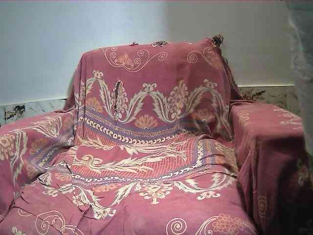 DesiCpl webcam