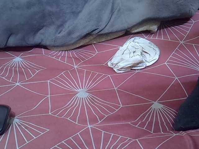 NastyP1 live cam on BongaCams