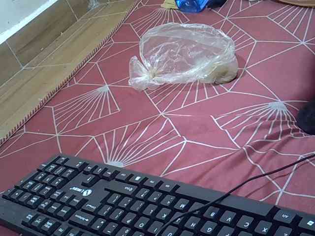 NastyP1 webcam