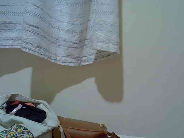 NastyP1 webcam