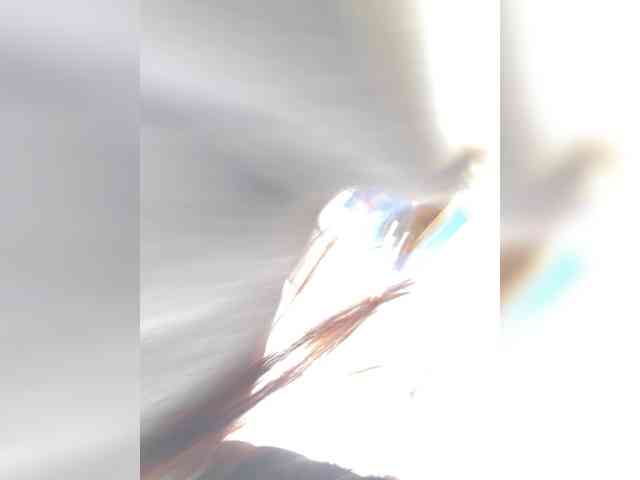 Lisa2016 webcam