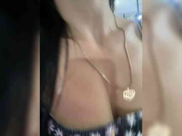 Lisa2016 webcam