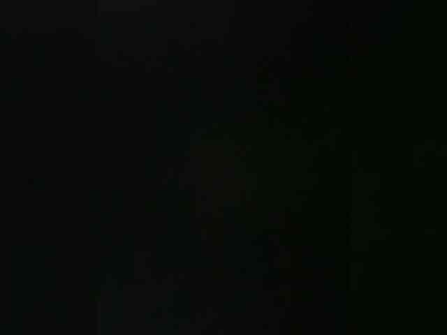 Lisa2016 webcam