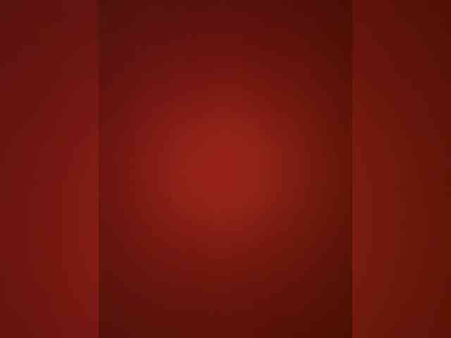 Lisa2016 webcam