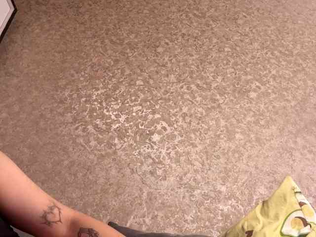 StephanyPlimpton webcam