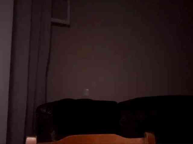 DaliaTronstad webcam