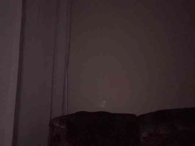 DaliaTronstad webcam