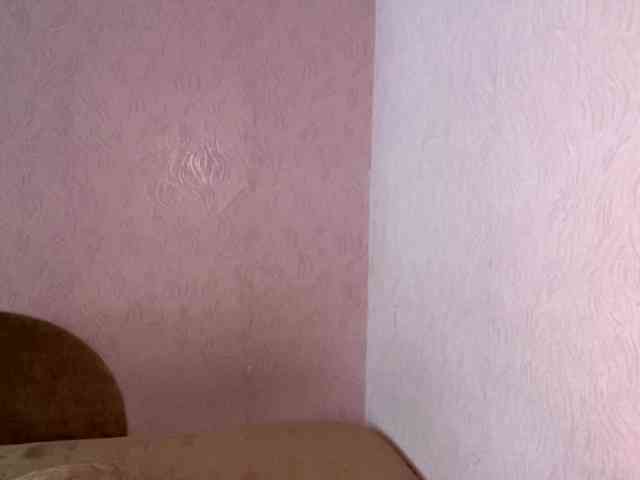 DaliaTronstad webcam