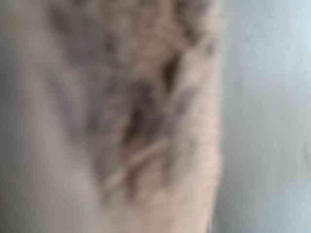 SExyNicole17 webcam