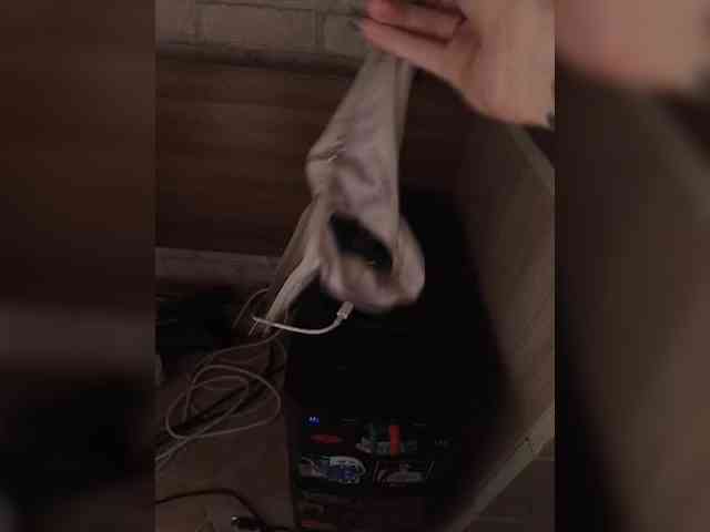 AlishaFomalgaut webcam