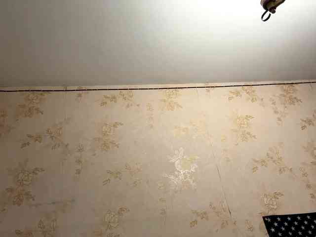 WillodeanHole webcam