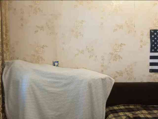 WillodeanHole webcam