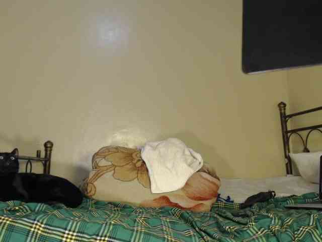 Queengee webcam
