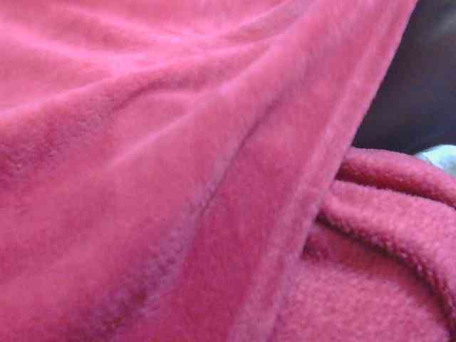 sluttylaura webcam