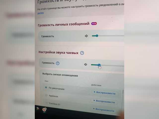 Live трансляция OFELI - slutnetki.online