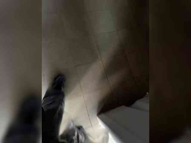 OFELI webcam