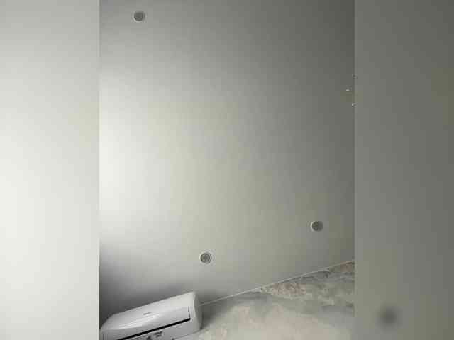 OFELI webcam