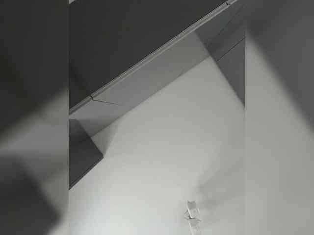 OFELI webcam