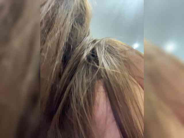 OFELI webcam