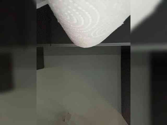 OFELI webcam