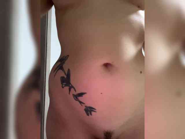 OFELI webcam
