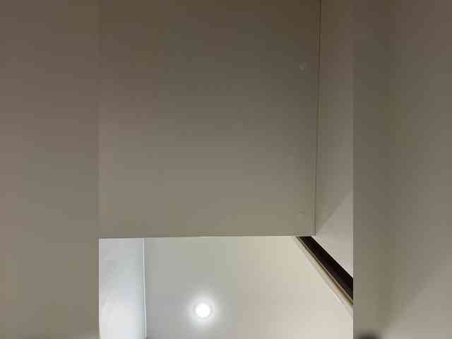 OFELI webcam