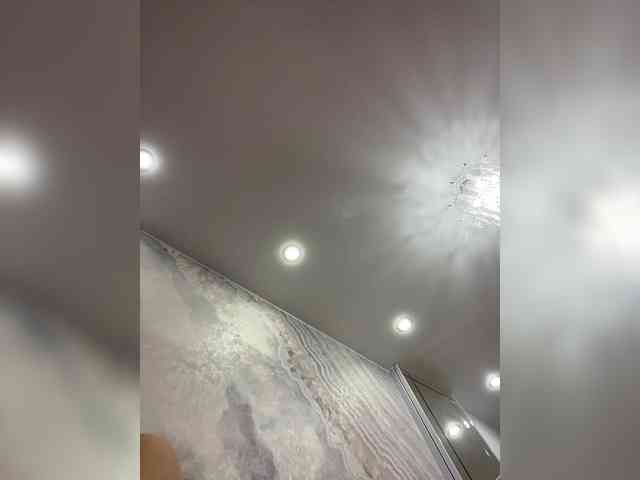 OFELI webcam