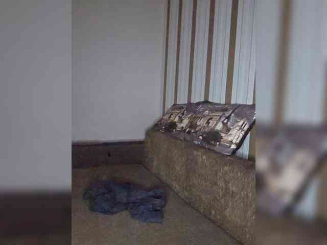 Alexandracore webcam