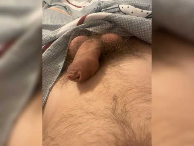 Vet121 live cam