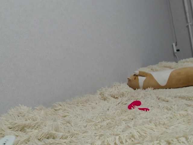 KittyRey