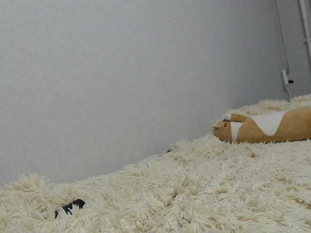 KittyRey