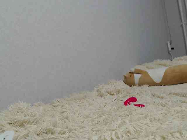 kittyrey's live room