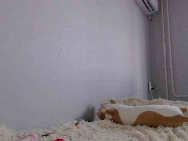KittyRey