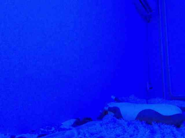 KittyRey Live Webcam on BongaCams