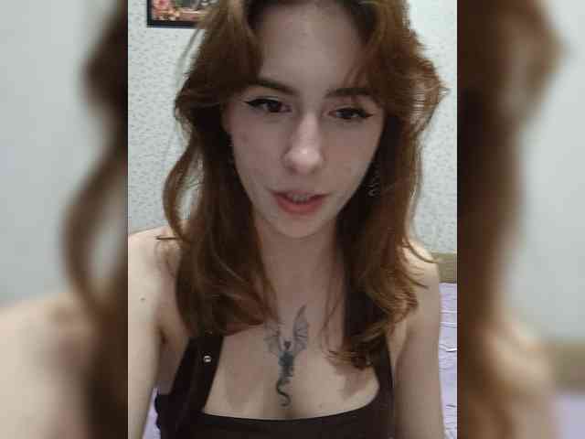 Xsska webcam