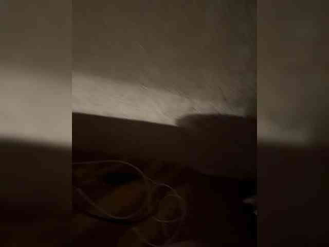 Vovaxa Live Webcam on BongaCams