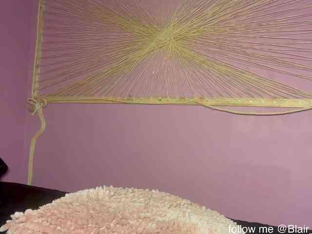 Blair-Hart webcam