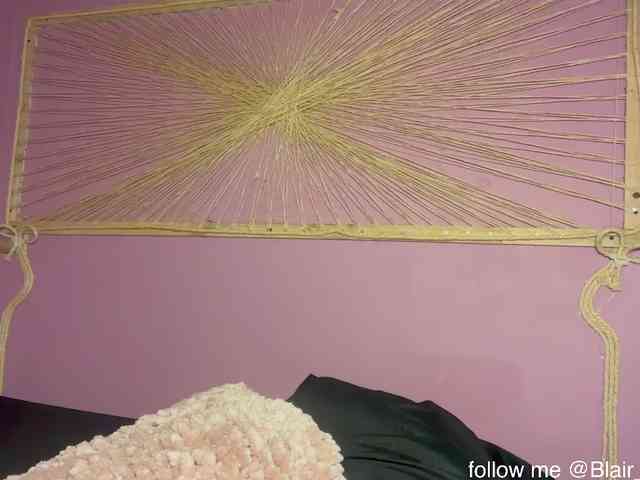 Blair-Hart webcam