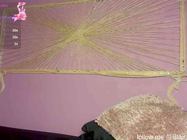 Blair-Hart webcam