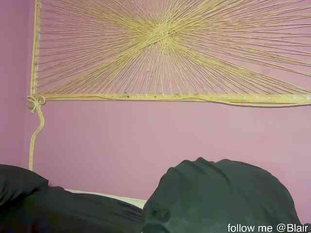 Blair-Hart webcam