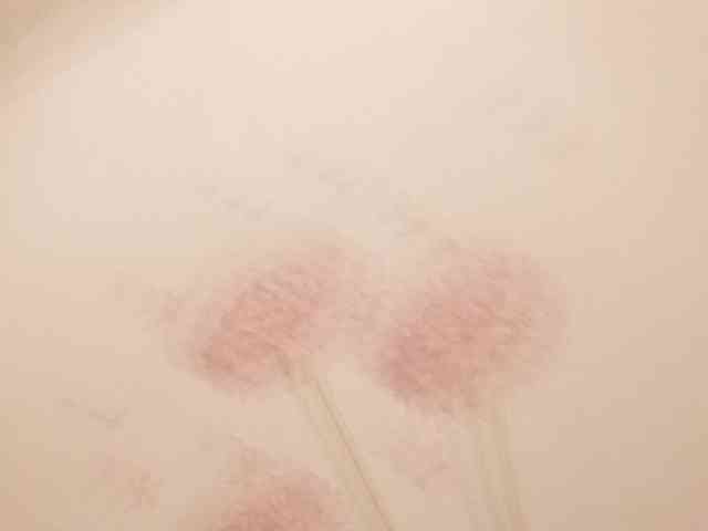 Secretvibes1 webcam
